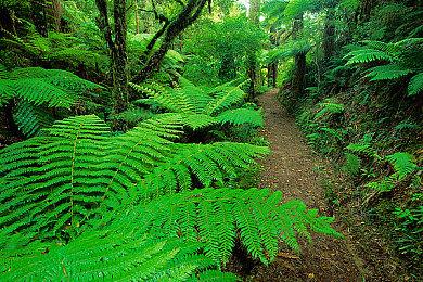 《夜族崛起》PS5版6月11日发售 目前已开启预购